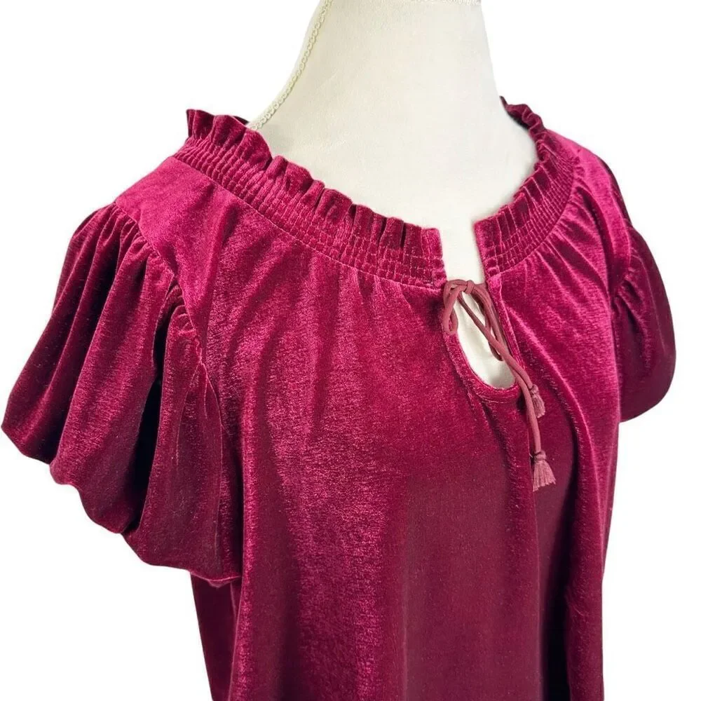 Free People Terese Garnet Red Velvet Short Puff Sleeve Top Boho Fall Size M